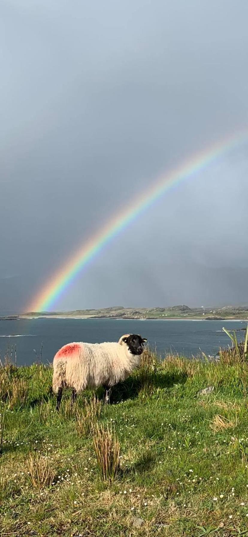 Kylemore House Boutique Apartments - Fishermans Perch Buitenkant foto